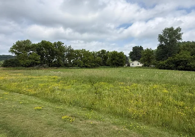 4th image of Tbd Martin St, Elmwood, WI 54740 | MLS# 7101108