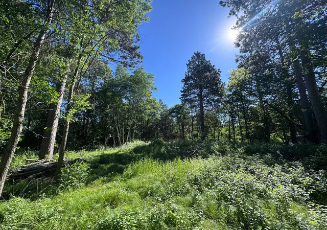 Homes for sale in Park Rapids, MN | Tbd Franklin Ave, Park Rapids, MN 56470 | MLS# 7101178