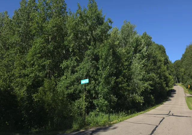 Homes for sale in Cushing, MN | Tbd Aspen, Cushing, MN 56443 | MLS# 7101312