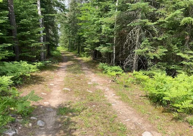 Photo 2 of Land for sale at 11919 Luna Lake Rd, Side Lake, MN 55781 | MLS# 7101434 | Listing updated on 2026-09-28