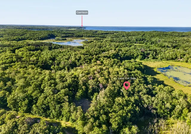 Homes for sale in Garrison, MN | Tbd Hickory Lane, Garrison, MN 56450 | MLS# 7101485