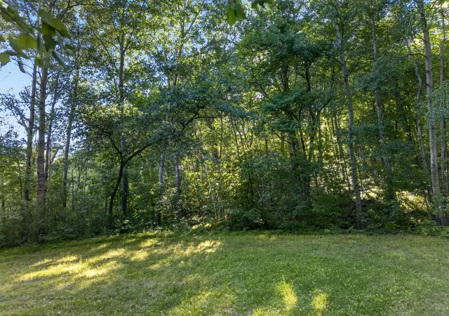 Homes for sale in Garrison, MN | Tbd Hickory Lane, Garrison, MN 56450 | MLS# 7101485