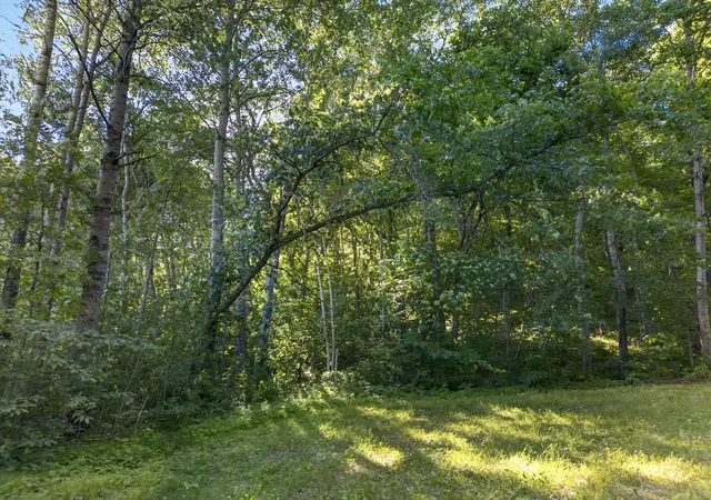 Homes for sale in Garrison, MN | Tbd Hickory Lane, Garrison, MN 56450 | MLS# 7101485