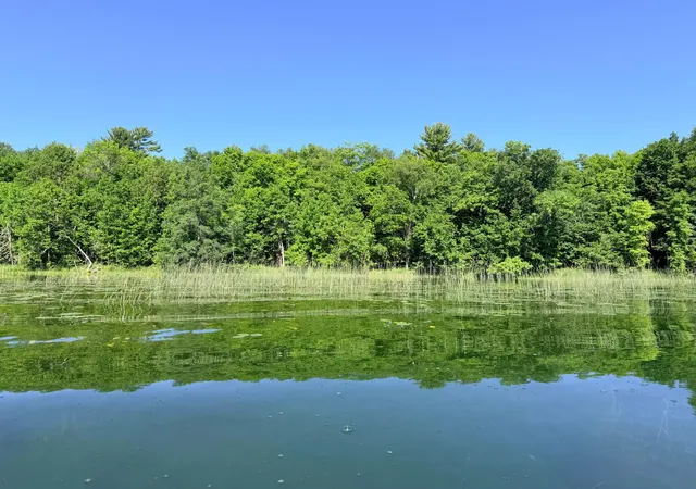 2nd image of Tbd Buxton Road Nw, Hackensack, MN 56452 | MLS# 7101552