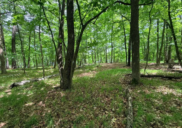 3rd image of Tbd Buxton Road Nw, Hackensack, MN 56452 | MLS# 7101552