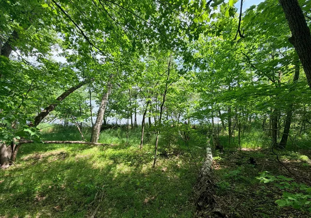 4th image of Tbd Buxton Road Nw, Hackensack, MN 56452 | MLS# 7101552