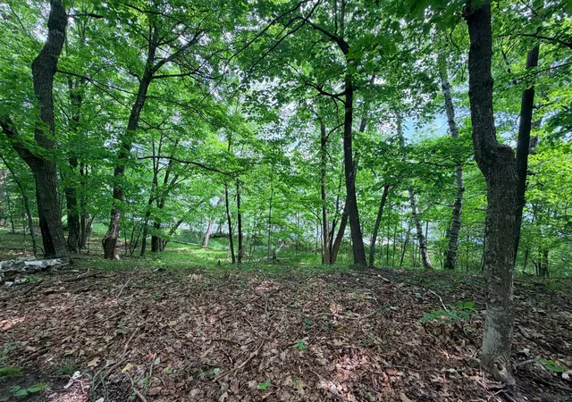 5th image of Tbd Buxton Road Nw, Hackensack, MN 56452 | MLS# 7101552