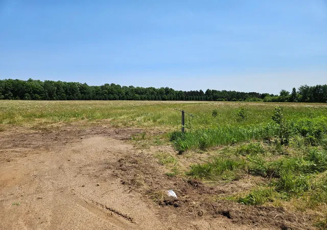 5th image of Tbd Thorson Rd, Brainerd, MN 56401 | MLS# 7101568