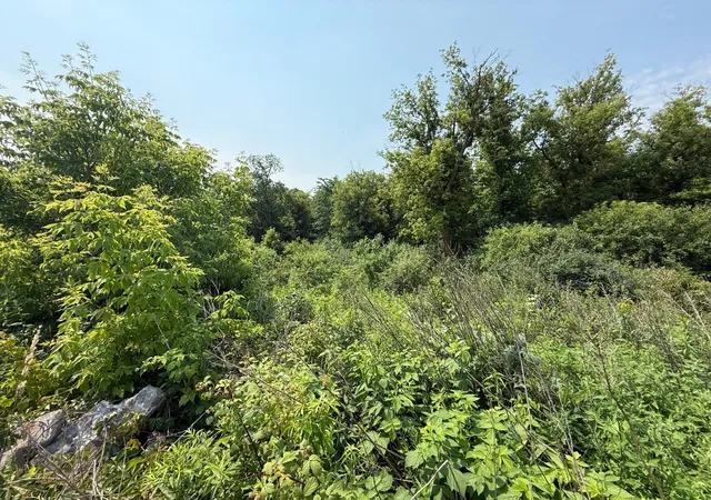 9th image of Tbd Us Hwy 8, Saint Croix Falls, WI 54024 | MLS# 7101935