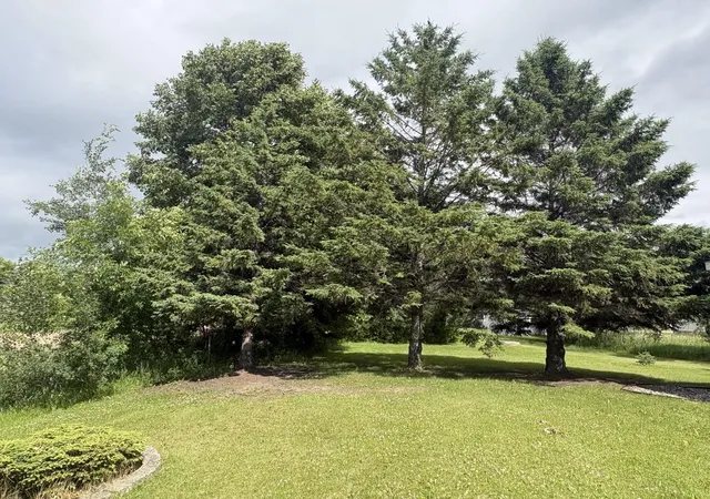 Homes for sale in Alexandria, MN | 2700 S Lake Jessie Rd Se, Alexandria, MN 56308 | MLS# 7102043