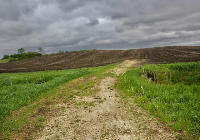 Homes for sale in Montgomery, MN | Tbd 115th St W, Montgomery, MN 56069 | MLS# 7102061