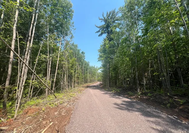 Homes for sale in Solon Springs, WI | Parcel 6 County Road A, Solon Springs, WI 54873 | MLS# 7102265
