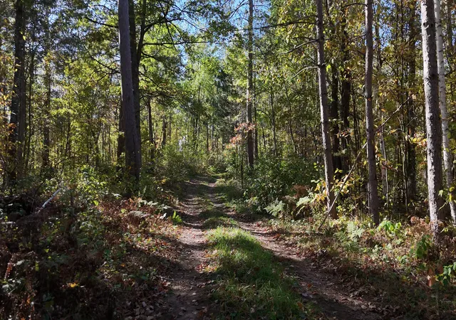 Photo 2 of Land for sale at N5813 Mann Rd, Spooner, WI 54801 | MLS# 7102444 | Listing updated on 2026-07-18