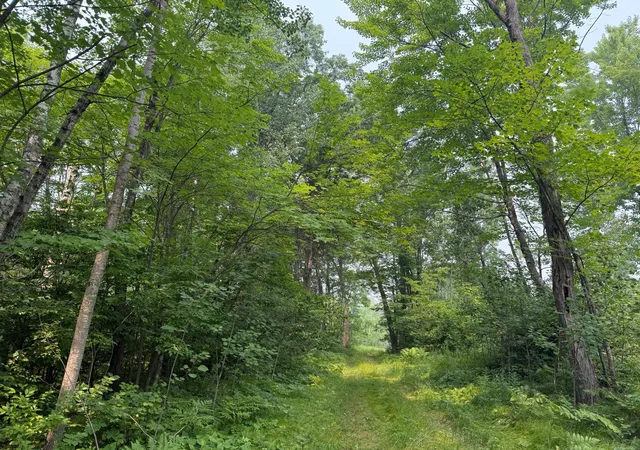 Photo 4 of Land for sale at N5813 Mann Rd, Spooner, WI 54801 | MLS# 7102444 | Listing updated on 2026-07-18