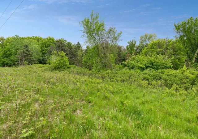 58th image of 10 Sunny Side Ln, Sunfish Lake, MN 55118 | MLS# 7102457