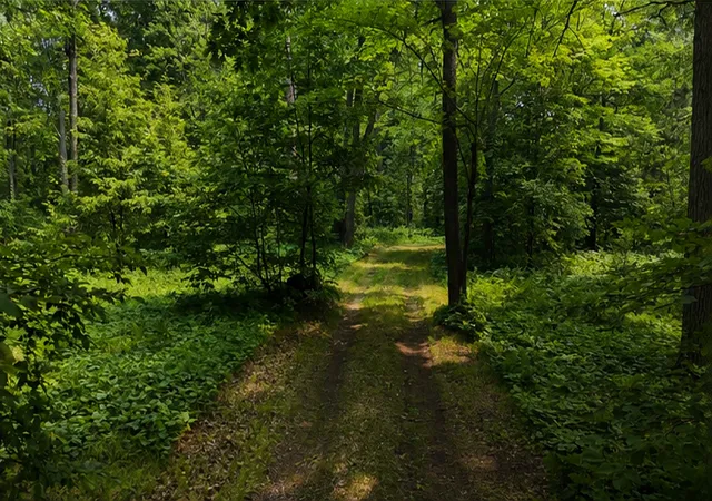 Photo 1 of Land for sale at Tbd Bb Mann Rd, Spooner, WI 54801 | MLS# 7102488 | Listing updated on 2026-07-18