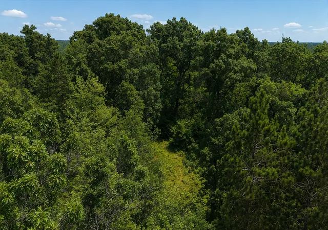Photo 3 of Land for sale at Tbd Bb Mann Rd, Spooner, WI 54801 | MLS# 7102488 | Listing updated on 2026-07-18