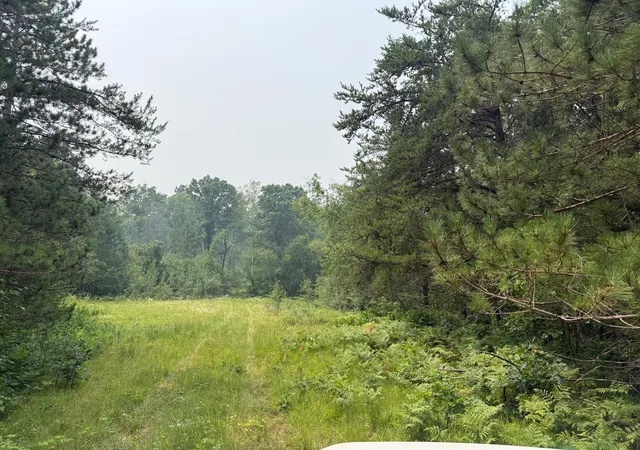 Photo 4 of Land for sale at Tbd Bb Mann Rd, Spooner, WI 54801 | MLS# 7102488 | Listing updated on 2026-07-18