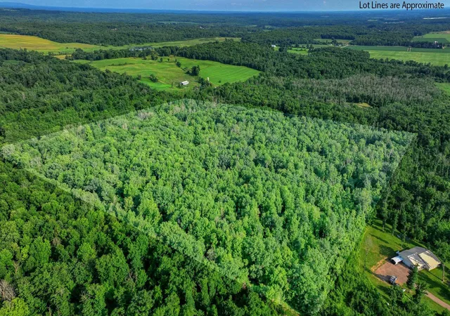 Homes for sale in Chetek, WI | 4000 Acres 30th Ave, Chetek, WI 54728 | MLS# 7102586