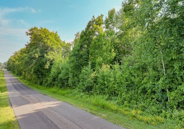 Homes for sale in Chetek, WI | 4000 Acres 30th Ave, Chetek, WI 54728 | MLS# 7102586