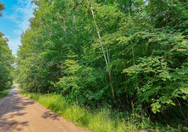 Homes for sale in Chetek, WI | 4000 Acres 30Th Ave, Chetek, WI 54728 | MLS# 7102586