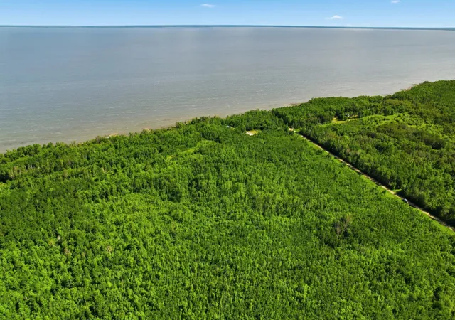 4th image of 47801 Sandberg Rd Ne, Kelliher, MN 56650 | MLS# 7102601
