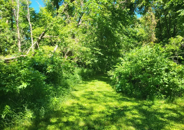 Homes for sale in Garfield, MN | Lot 5 Big Chip Trl Nw, Garfield, MN 56332 | MLS# 7102606