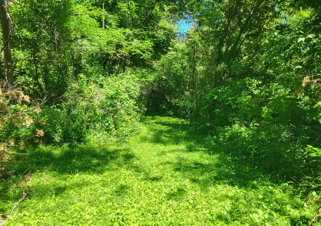Homes for sale in Garfield, MN | Lot 5 Big Chip Trl Nw, Garfield, MN 56332 | MLS# 7102606