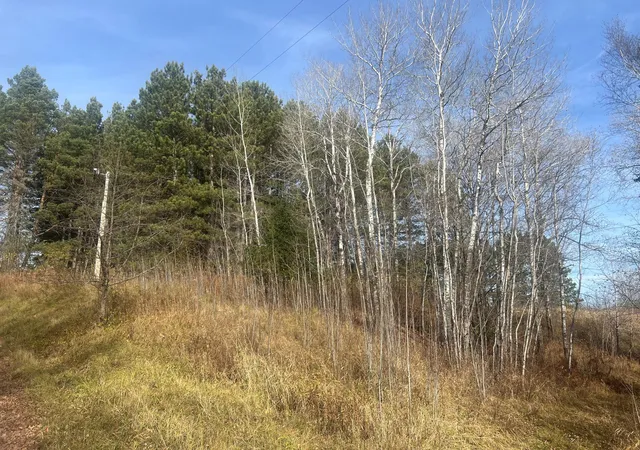 Homes for sale in Saginaw, MN | 0000 Wick Rd, Saginaw, MN 55779 | MLS# 7102685