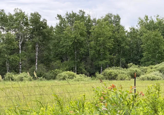 1st image of Tbd Hwy 65, Nashwauk, MN 55769 | MLS# 7102731