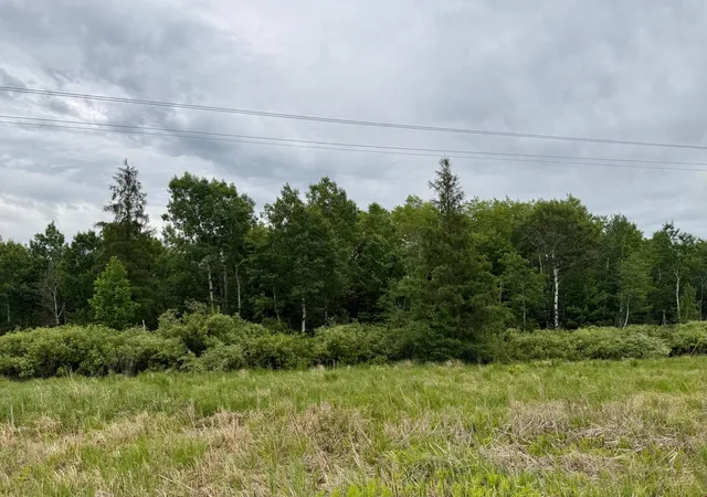 2nd image of Tbd Hwy 65, Nashwauk, MN 55769 | MLS# 7102731