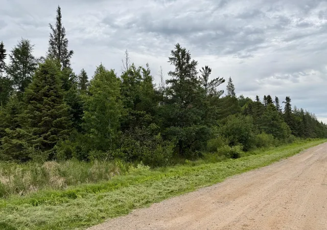 3rd image of Tbd Hwy 65, Nashwauk, MN 55769 | MLS# 7102731
