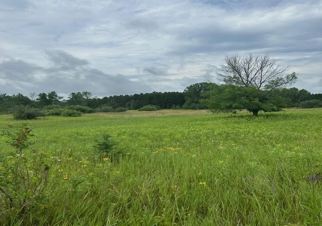 23rd image of 8xxx 200th St, Forest Lake, MN 55025 | MLS# 7102772