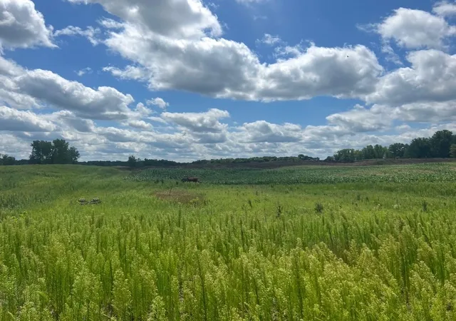 2nd image of 8xxx 200th St, Forest Lake, MN 55025 | MLS# 7102772