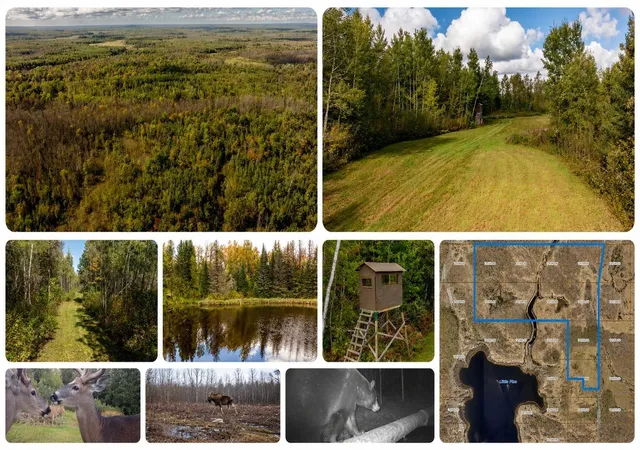 46th image of 384 Acres Tbd Little Pine Rd, Emily, MN 56447 | MLS# 7102876