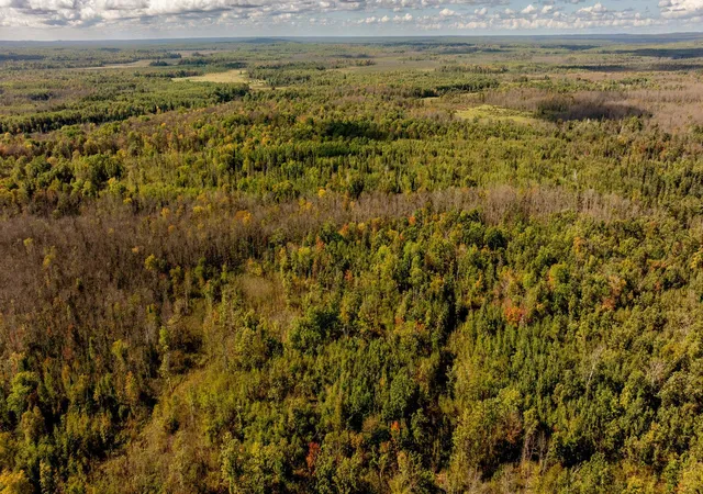 Homes for sale in Emily, MN | 384 Acres Tbd Little Pine Rd, Emily, MN 56447 | MLS# 7102876