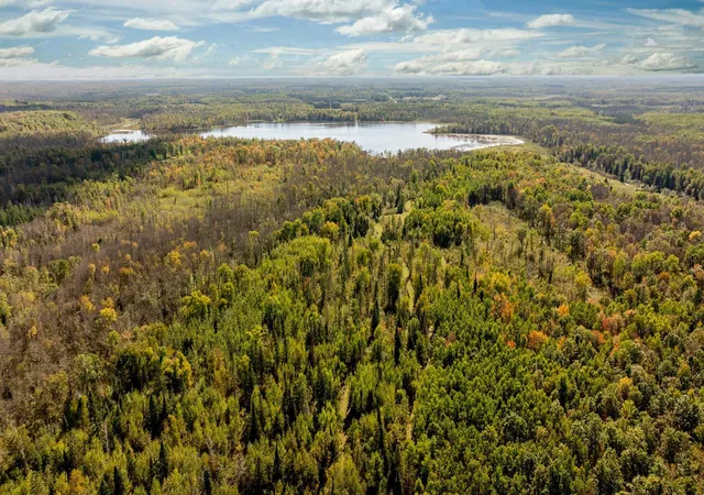 Homes for sale in Emily, MN | 384 Acres Tbd Little Pine Rd, Emily, MN 56447 | MLS# 7102876