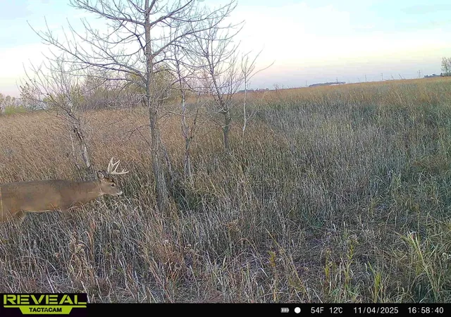 Photo 3 of Land for sale at Xxx 130th Avenue, Welcome, MN 56181 | MLS# 7102926 | Listing updated on 2026-08-27
