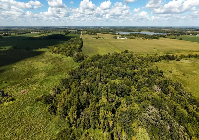Photo 4 of Land for sale at Tbd 260th Street W, Morristown, MN 55052 | MLS# 7102928 | Listing updated on 2026-07-14