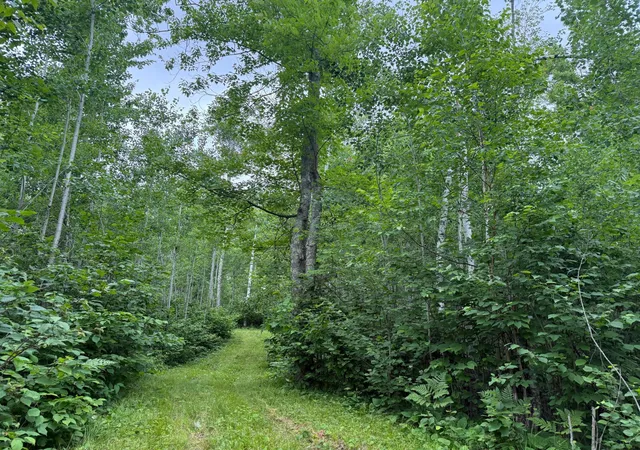 2nd image of 58059 Wolf Creek Rd, Sandstone, MN 55072 | MLS# 7102943