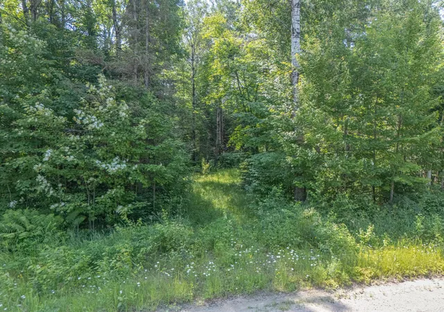3rd image of County Road 308 County Road 308, Mountain Iron, MN 55768 | MLS# 7102954
