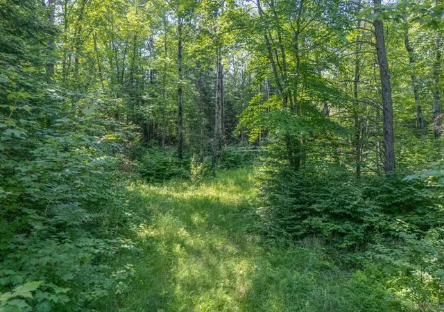 4th image of County Road 308 County Road 308, Mountain Iron, MN 55768 | MLS# 7102954