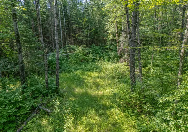 5th image of County Road 308 County Road 308, Mountain Iron, MN 55768 | MLS# 7102954