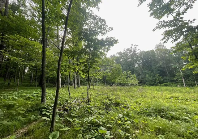 Homes for sale in Boyceville, WI | Lot's 4,5 & 6 Anderson Hill Lane, Boyceville, WI 54725 | MLS# 7103056