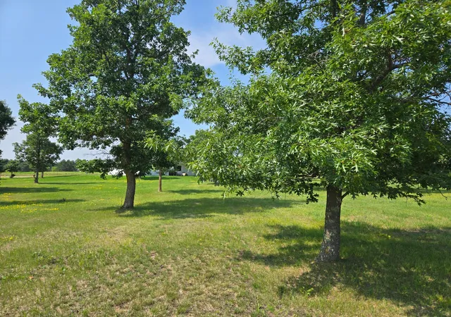 Homes for sale in Park Rapids, MN | Tbd Walnut Lane, Park Rapids, MN 56470 | MLS# 7103275