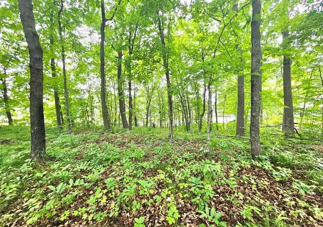 3rd image of Tbd East Grace Street, Isle, MN 56342 | MLS# 7103278