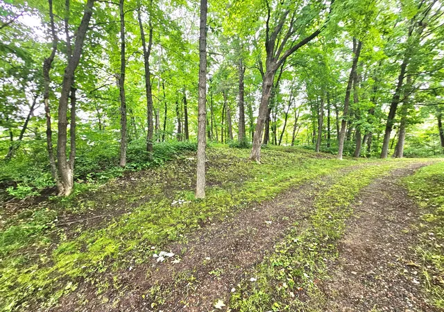 4th image of Tbd East Grace Street, Isle, MN 56342 | MLS# 7103278