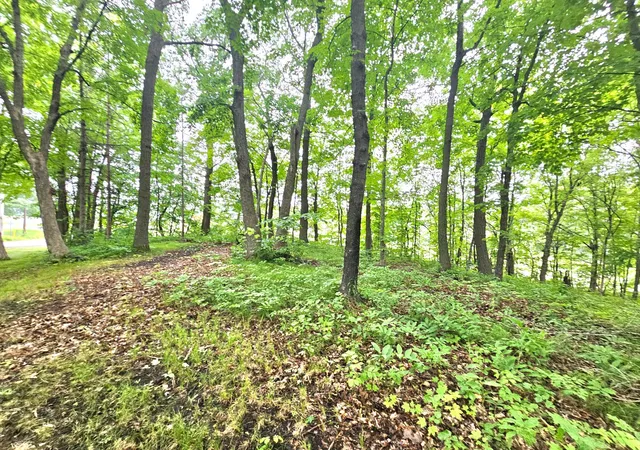 5th image of Tbd East Grace Street, Isle, MN 56342 | MLS# 7103278