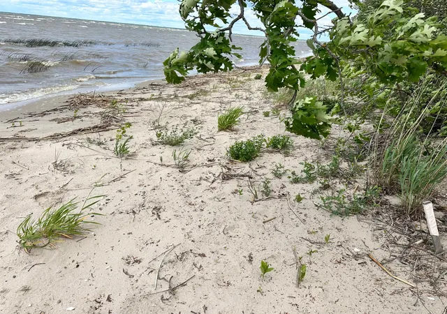 2nd image of Tbd Kansas City Rd Ne, Waskish, MN 56685 | MLS# 7103283