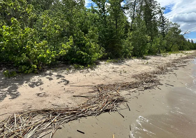4th image of Tbd Kansas City Rd Ne, Waskish, MN 56685 | MLS# 7103283